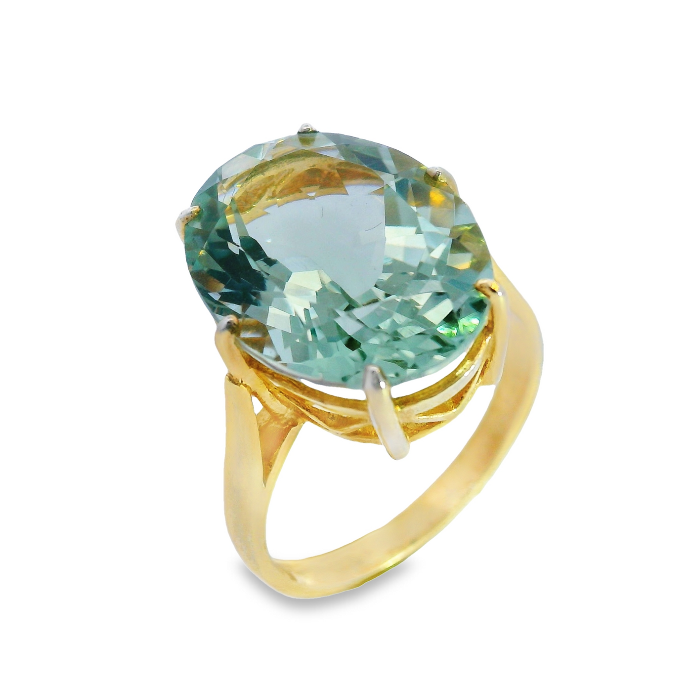 Large 6 Claw Oval Single Stone